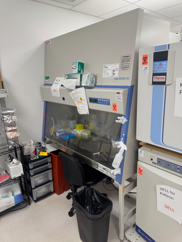 Image of Thermo 1300 Series A2 5' BioSafety Cabinet